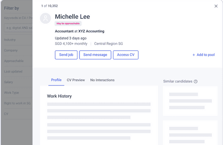 Example Seek Candidate Profile